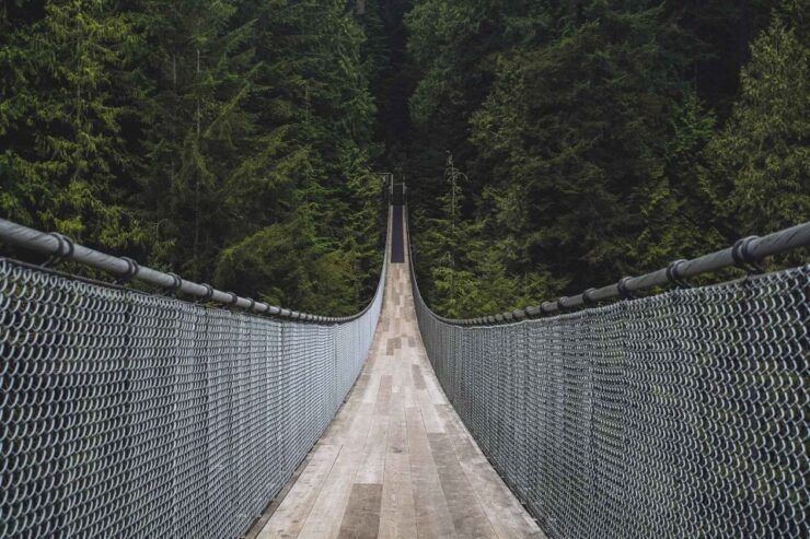 Vancouver: City Tour With Capilano Suspension Bridge - Booking Details