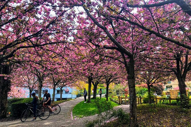 Vancouver City Tour With Cherry Blossom Festival Private - Tour Details