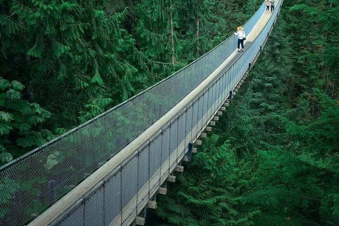 Vancouver City Tour With Stanley, Grouse Mountain & Capillano Suspension Private - Winter Holiday Experience in Vancouver