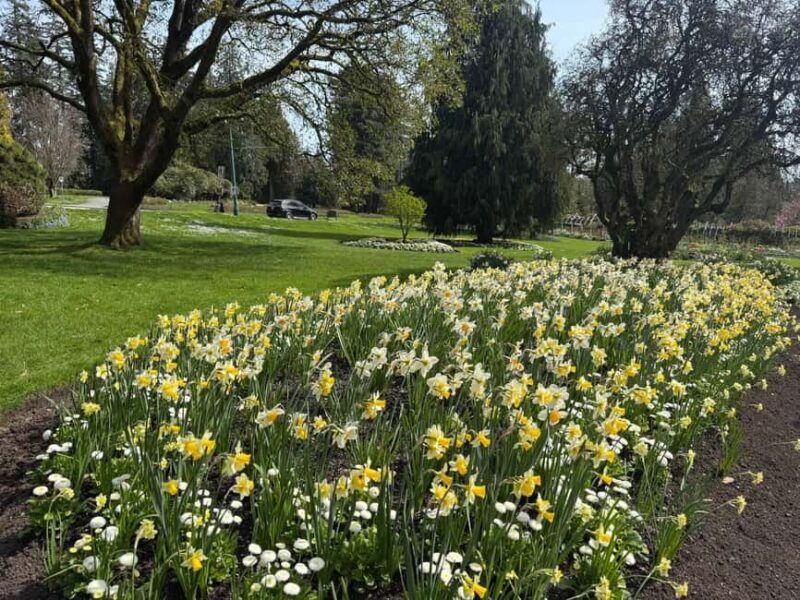 Vancouver City Tour+VipCar+Stanley Park+ChinaTown/SmallGroup - Practical Tips for Travelers