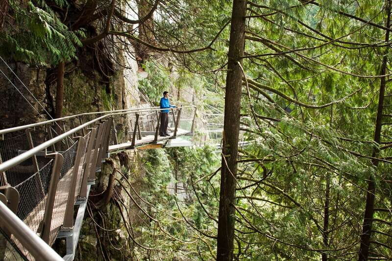 Vancouver: City+Lookout+Capilano Suspension Bridge Ticket - Good To Know