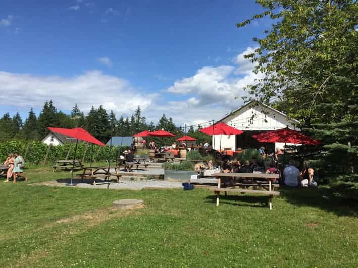 Vancouver: Fraser Valley Wine Tasting Tour - Good To Know