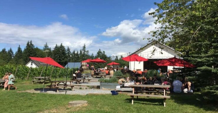 Vancouver: Fraser Valley Wine Tasting Tour - Pricing Details