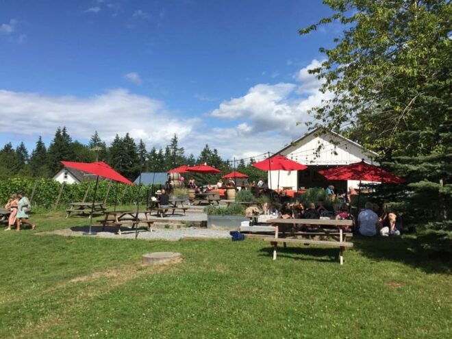 Vancouver: Fraser Valley Wine Tasting Tour - Tour Limitations