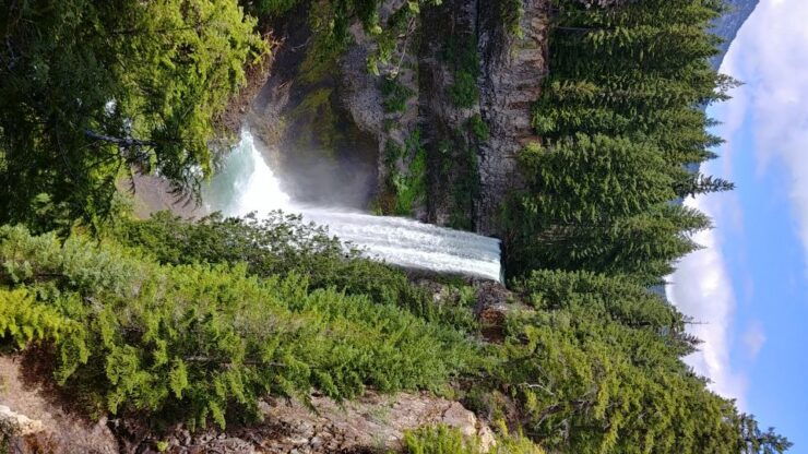 Vancouver: Full-Day Whistler Private Tour - Activity Details