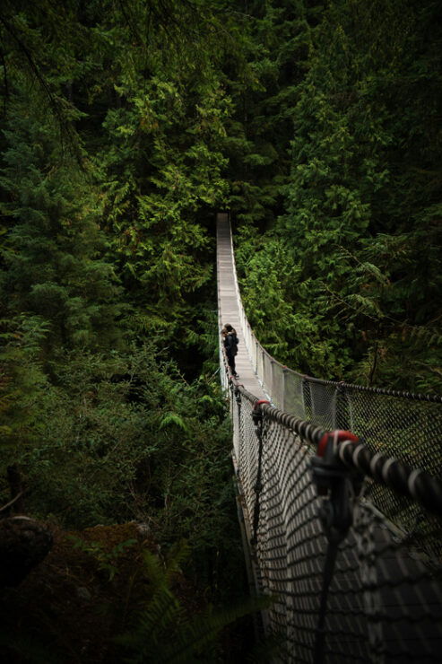 Vancouver: Guided Hiking Highlights at Grouse & Lynn Canyon - Good To Know