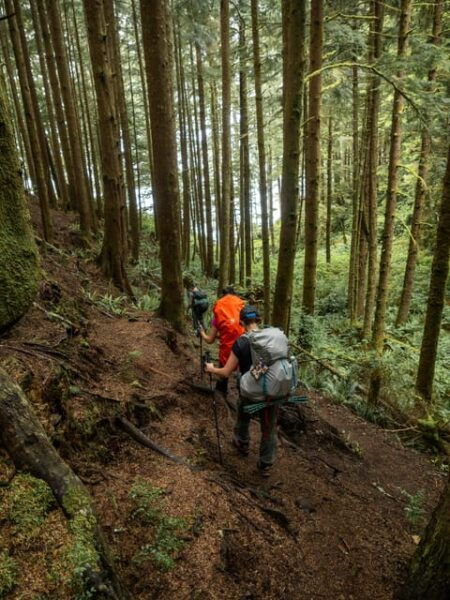 Vancouver: Guided Hiking Highlights at Grouse & Lynn Canyon - Hiking and Attractions: Grouse Grind and Lynn Canyon