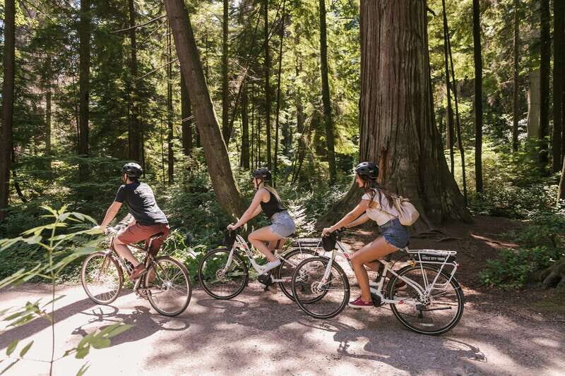 Vancouver: Half-Day City Highlights E-Bike Tour Age 16+ - Good To Know: