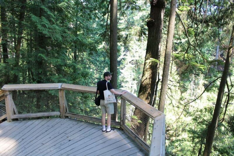 Vancouver Highlights: Capilano Bridge & Granville Island - Authentic Experiences & Real Insights from Reviewers
