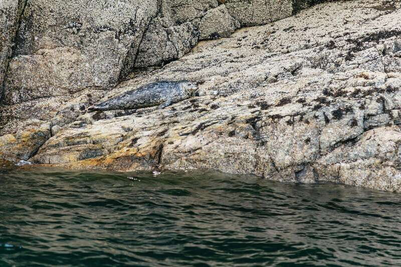 Vancouver: Indian Arm and Granite Falls Zodiac Boat Tour - Introduction