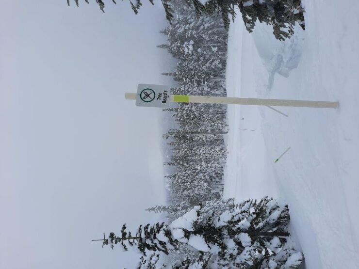 Vancouver Island Alpine Snowshoeing Tour - Tour Details