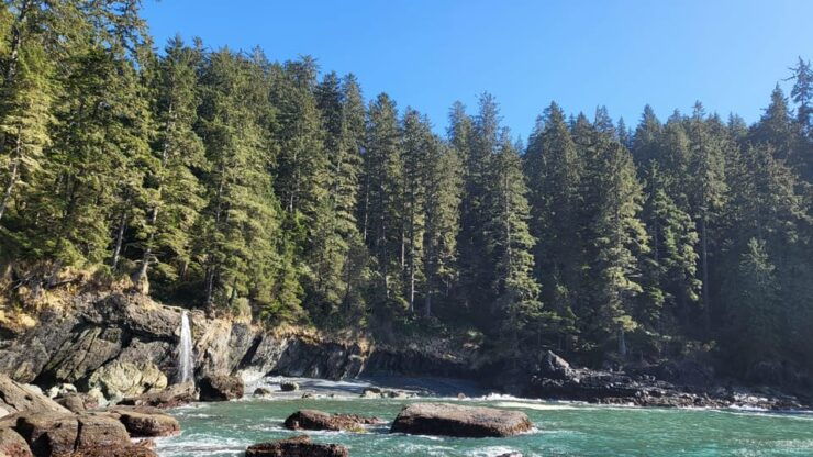 Vancouver Island: Yurt Stay, Waterfall, Beaches and Skywalk - Good To Know