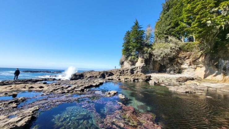 Vancouver Island: Yurt Stay, Waterfall, Beaches and Skywalk - Explore Old Growth Forest