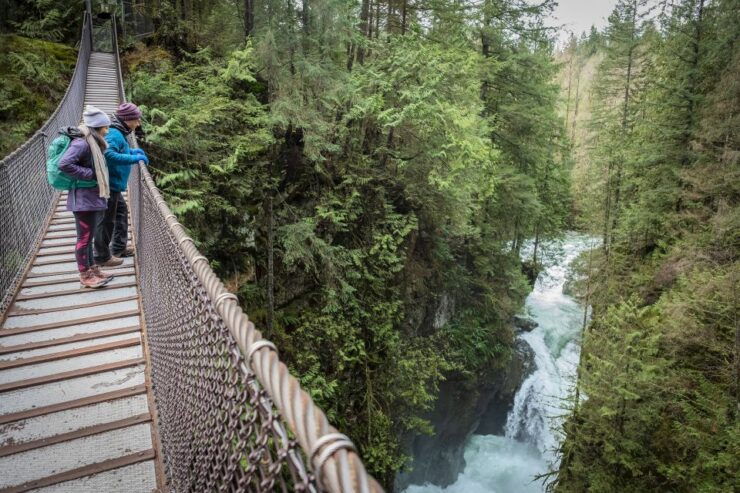 Vancouver: Lynn Valley Suspension Bridge & Nature Walk Tour - Good To Know