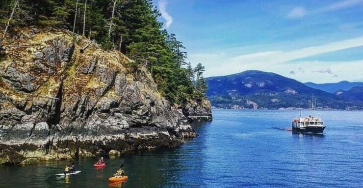 Vancouver: Morning Kayak & Seal Cruise - Experience Highlights