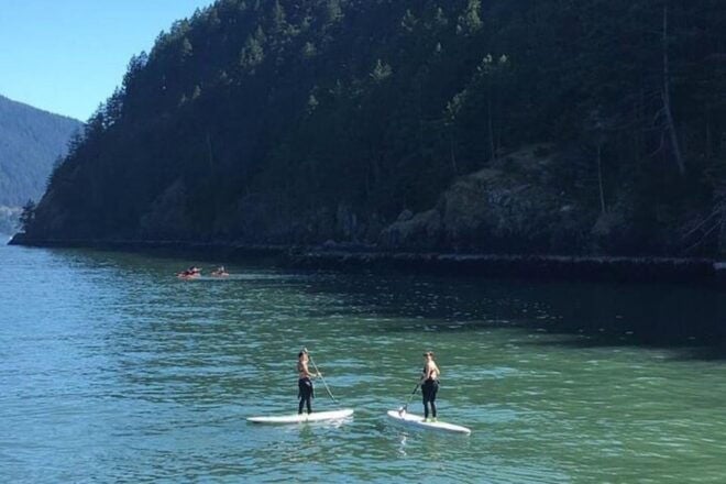 Vancouver: Morning Kayak & Seal Cruise - Tour Details