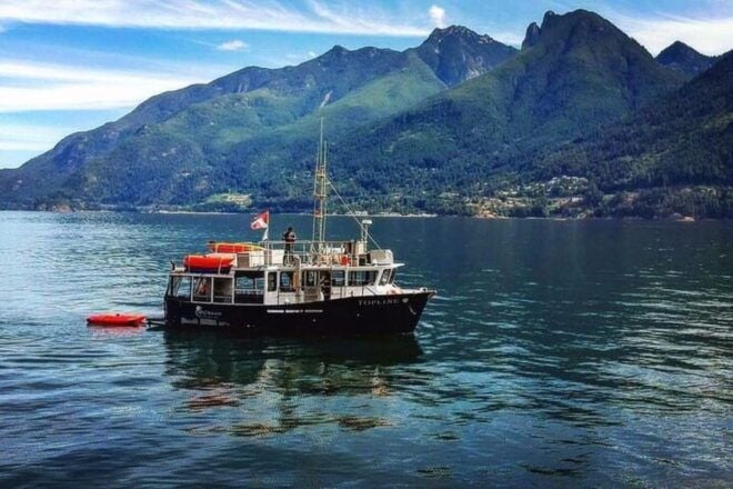 Vancouver: Morning Kayak & Seal Cruise - Paddling Through Scenic Waters