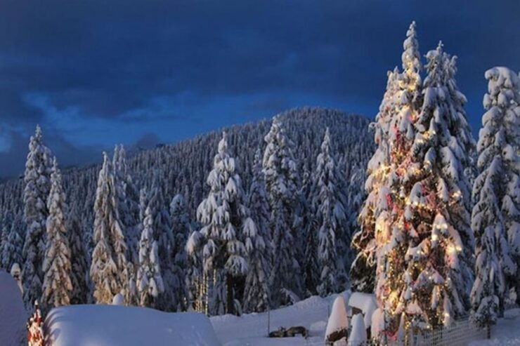 Vancouver Mountain to Mountain (Grouse,Cypress,Mount Seymour - Mountain Trio Experience
