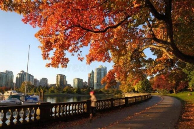 Vancouver : Must-See Attractions Walking Tour With A Guide - Experience and Features