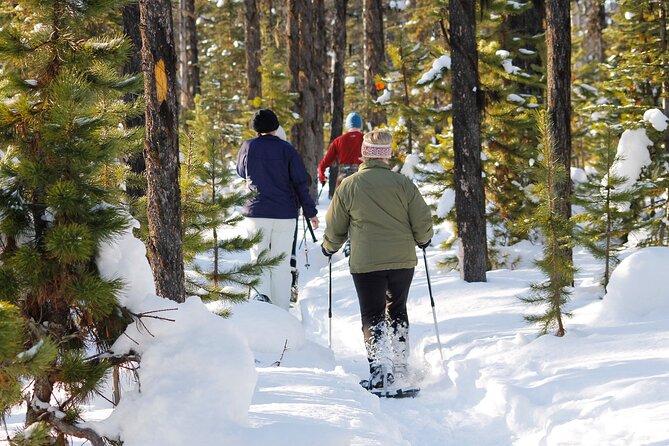Vancouver: North Shore Mountains Small-Group Snowshoeing Tour - Pickup and Refund Policy