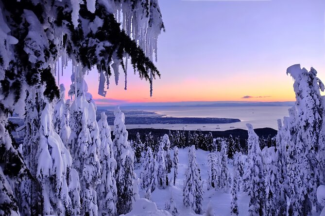 Vancouver: North Shore Mountains Small-Group Snowshoeing Tour - Traveler Photos and Reviews