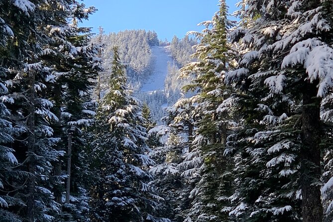 Vancouver: North Shore Mountains Small-Group Snowshoeing Tour - Pricing