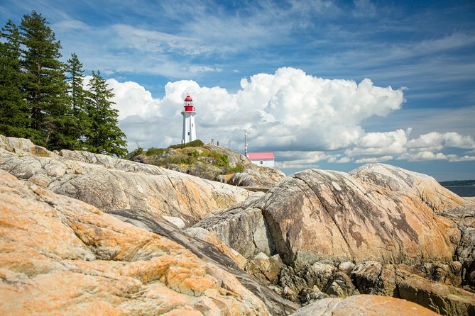 Vancouver: Pacific Northwest Nature Half-Day Small-Group Tour - Reviews