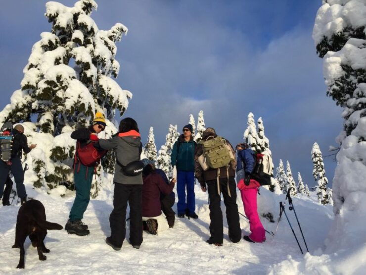 Vancouver: Panoramic View Snowshoeing Tour - Booking Information
