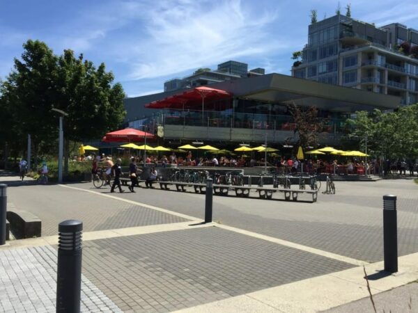 Vancouver: Private City Tour and North Shore Day Trip - Scenic Views and Attractions
