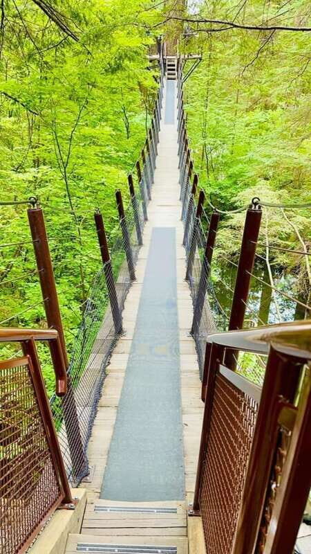 Vancouver: Private Tour City Sights, FlyOver & Capilano - Good To Know