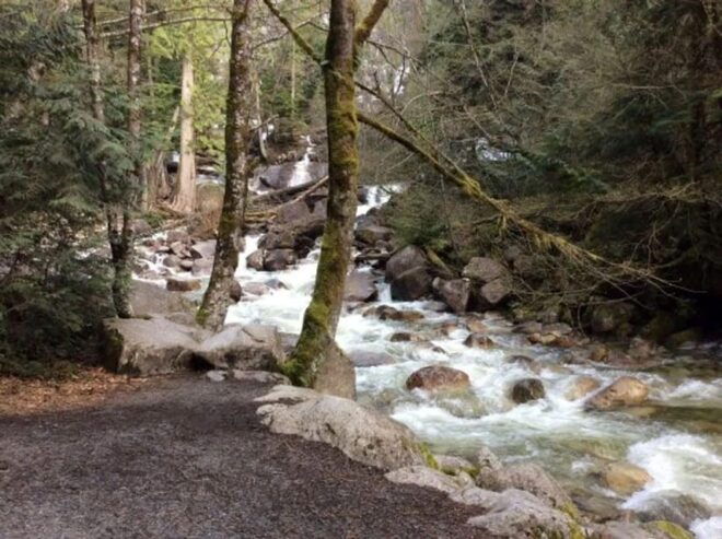 Vancouver: Sea to Sky Coast Tour With Free Time in Whistler - Language