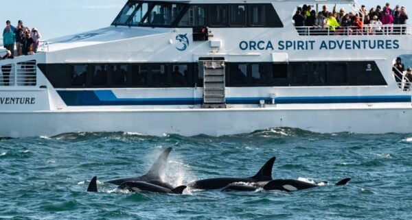 Vancouver: Seaplane to Victoria and Whale Watching Day Trip - Important Requirements for Passengers