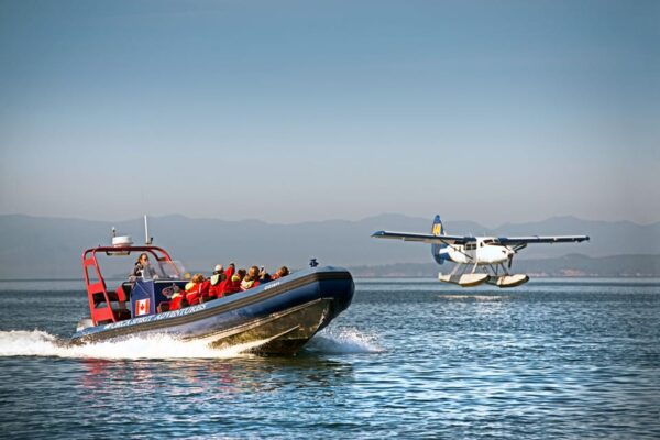 Vancouver: Seaplane to Victoria and Whale Watching Day Trip - Customer Ratings and Feedback