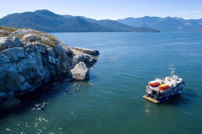 Vancouver: Snorkel, Kayak, and Seal Adventure Boat Tour - Tour Details