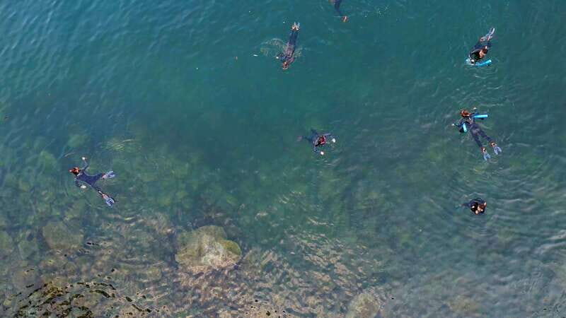 Vancouver: Snorkeling Seals Kayaking Scenic Boat Tour - Final Thoughts  