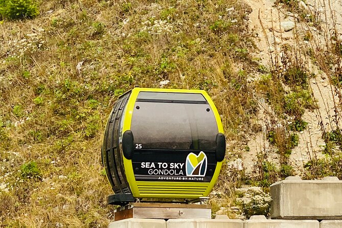 Vancouver, Squamish & Shannon Fall Day Private Tour - Tour Highlights