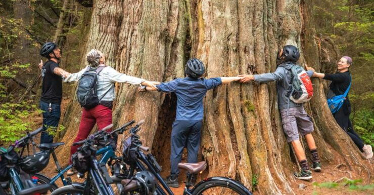 Vancouver: Stanley Park Bicycle Tour - Experience Highlights