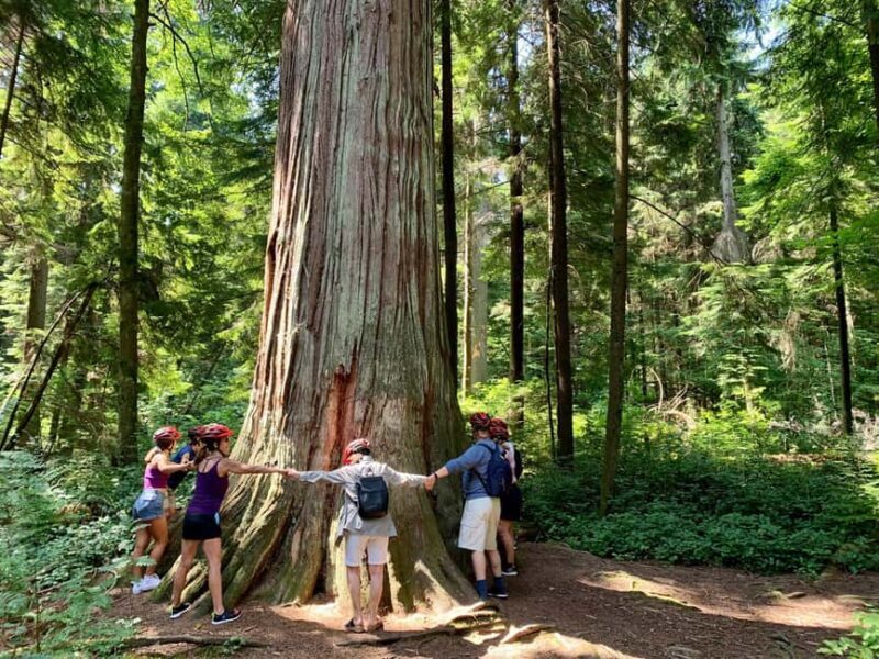 Vancouver: Stanley Park Bike Tour | E-Bike Upgrade Avail. - The Experience with a Guide