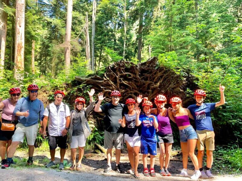 Vancouver: Stanley Park Bike Tour | E-Bike Upgrade Avail. - Final Thoughts