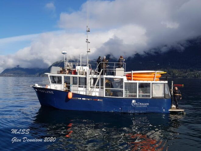 Vancouver: Sunset Boat Cruise With Complementary Bubbly - Departure Details