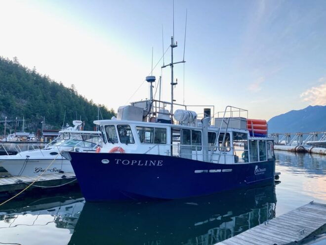 Vancouver: Sunset Boat Cruise With Complementary Bubbly - Customer Feedback