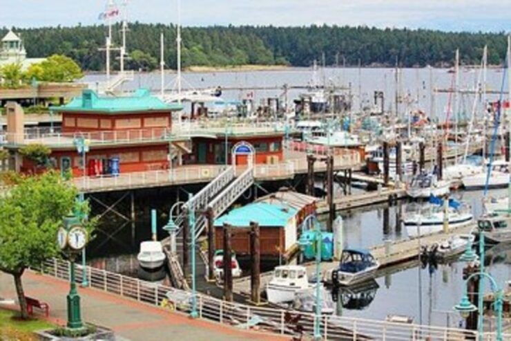 Vancouver to Nanaimo Harbour City Day Tour - Tour Highlights