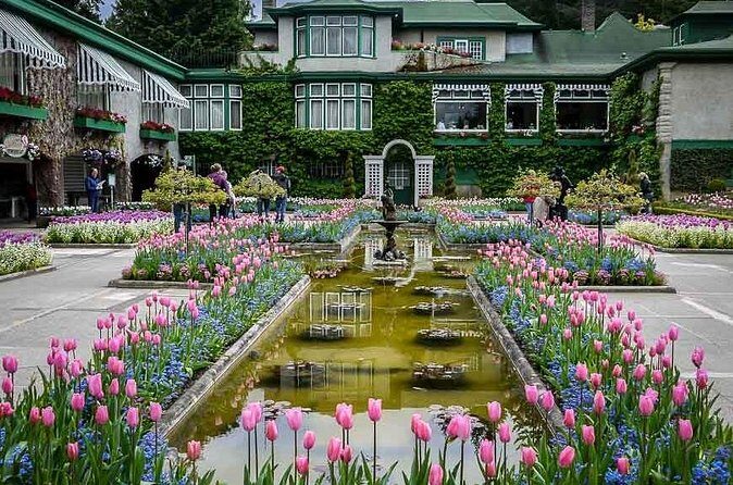 Vancouver to Victoria Private Tour - Who Will Love This Tour?