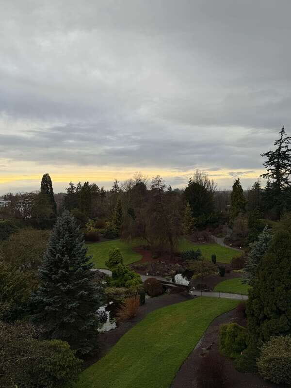 Vancouver Tour/Car/Grandville Island/Queen Elizabeth/China T - Discover Vancouver in Style: An In-Depth Look at the Tour