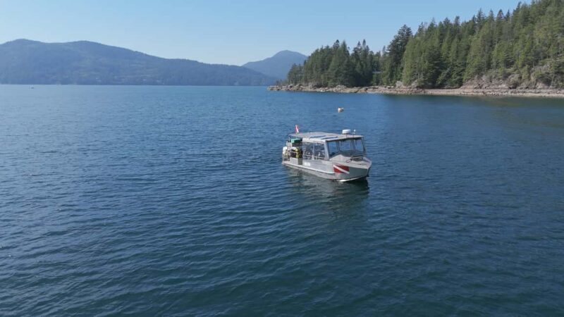 Vancouver UNESCO Biosphere Reserve Wildlife Scenic Boat Tour - Why This Tour Offers Great Value