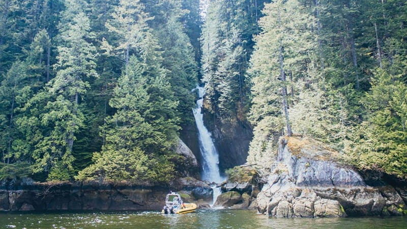 Vancouver: Waterfront Sightseeing Tour - City and Waterfall - FAQs