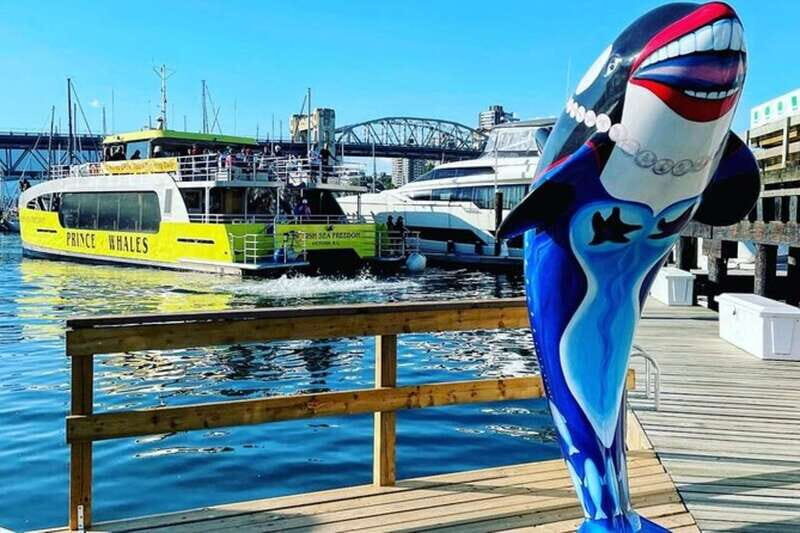 Vancouver: Whale Watching Adventure with Private City Tour - An In-Depth Look at the Tour Experience