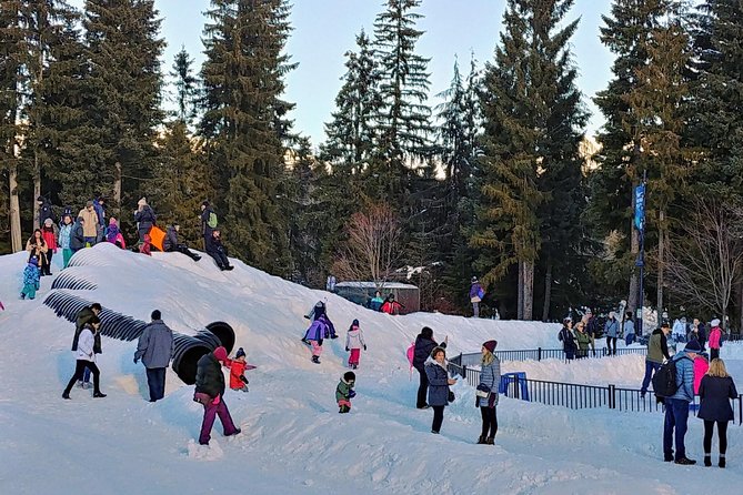 Vancouver Whistler Private Tour - Free Time in Whistler