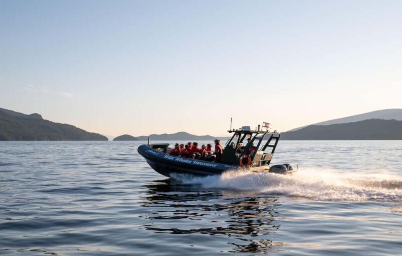 Vancouver: Zodiac Whale Watching Tour from Granville Island - The Thrill of the Zodiac Ride