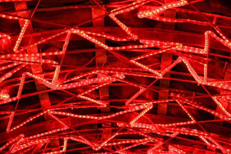 Vancouvers Festive Shoreline: A Christmas Walking Tour - What to Expect on the Tour